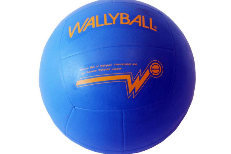 Wallyball 1