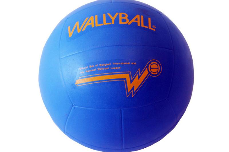 Wallyball 2